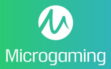 Microgaming Software Provider